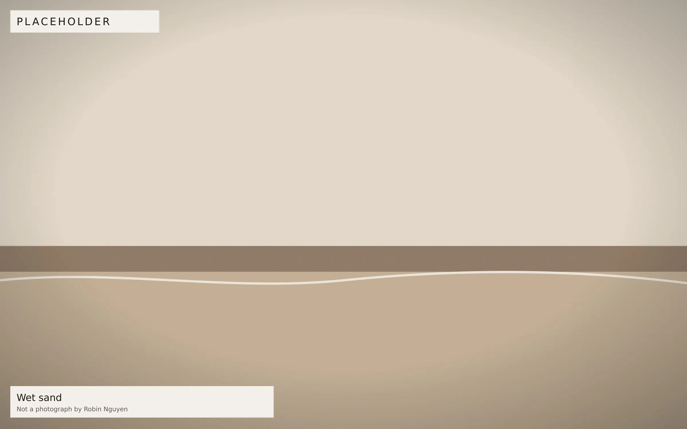 Placeholder — Wet sand. Placeholder image, not a photograph by Robin Nguyen.